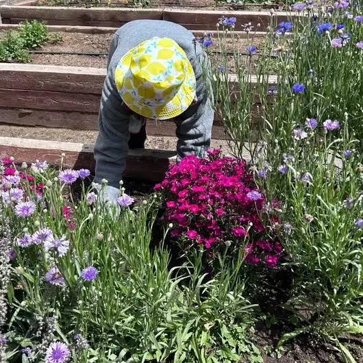 July 2024 Newsletter