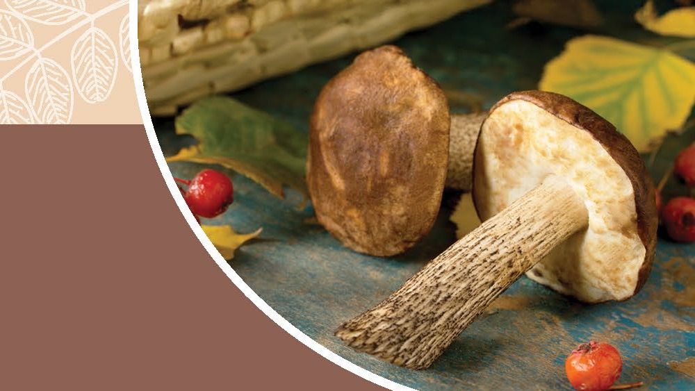 Autumn mushrooms, leaves, and berries arranged in a fall still life.