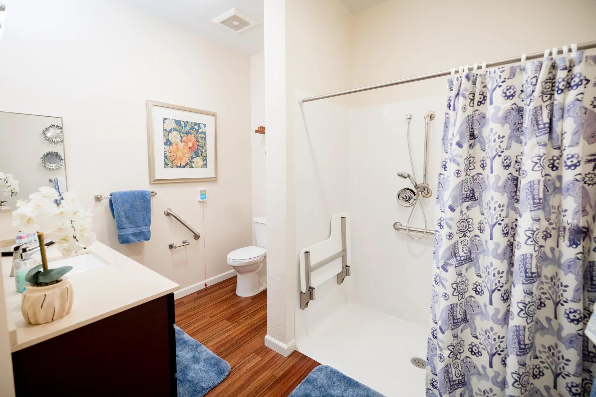 Stonebridge Senior apartment bathroom with walk-in shower, grab bars, and vanity