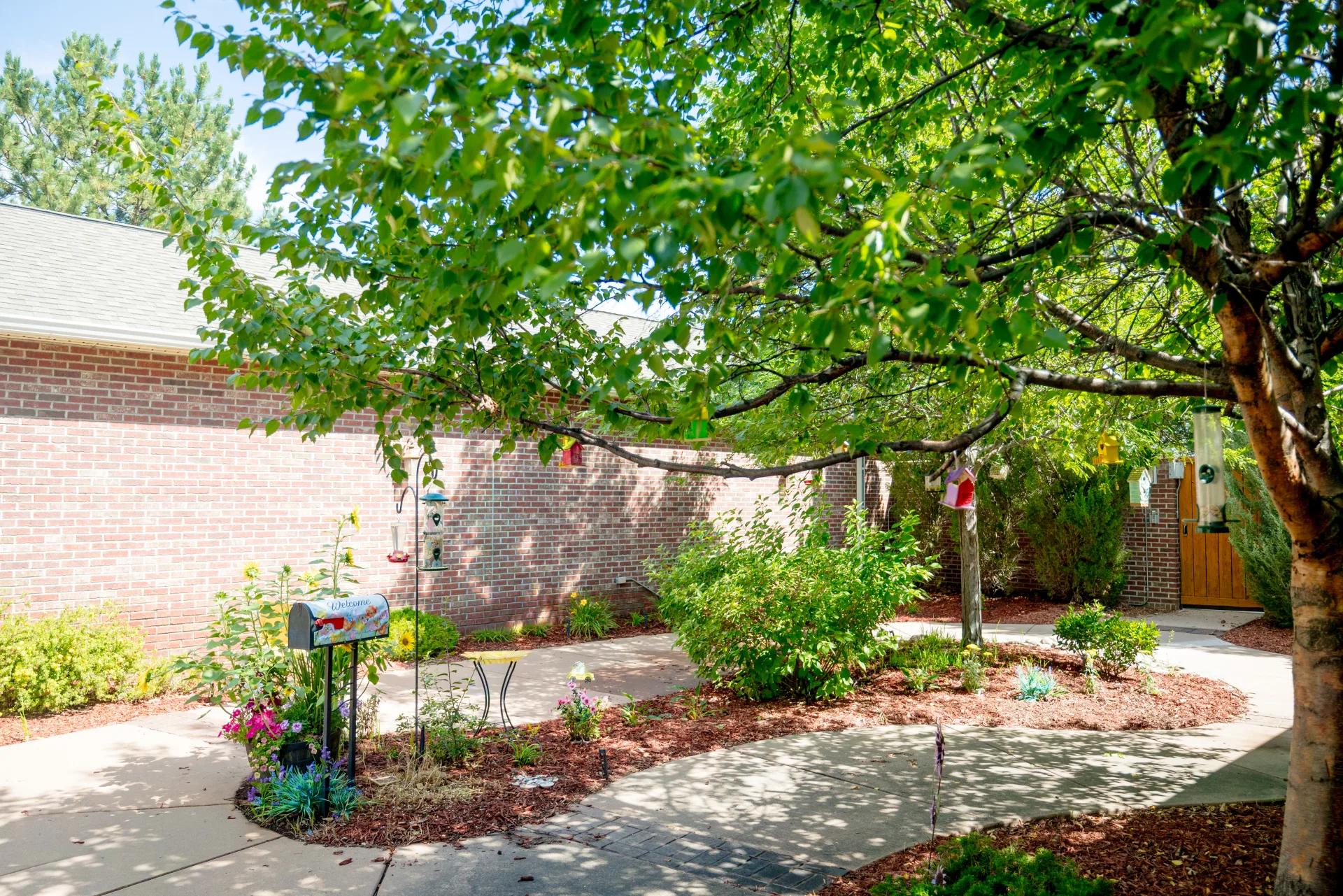 Curving garden path beneath a shade tree in the Bear Creek memory care courtyard