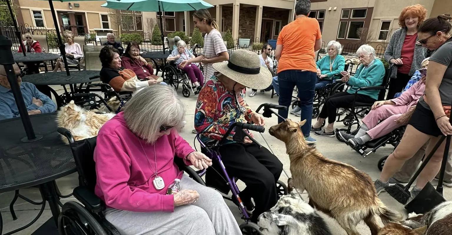 Memory Care Mosaic