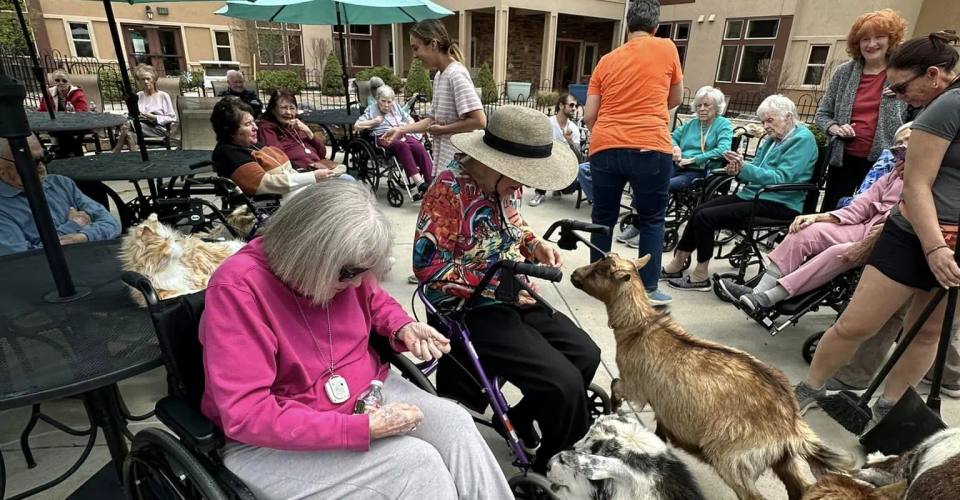 Memory Care Mosaic