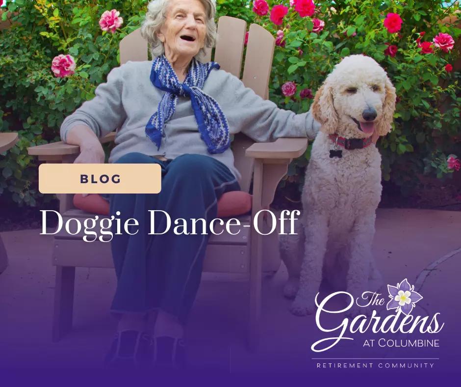 Paws, Music, and Movement: A Dancing Day with Mile High Musical Tails