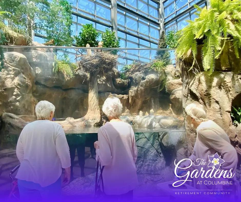 A Day Under the Sea: Gardens at Columbine Visits the Downtown Aquarium