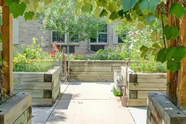 Raised garden beds beneath grapevines at Gardens at Columbine