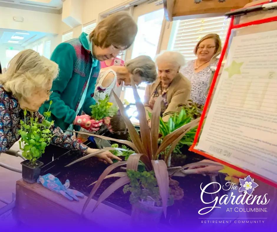 Bringing Nature Indoors with Our New Eldergrow Garden at Gardens on Columbine