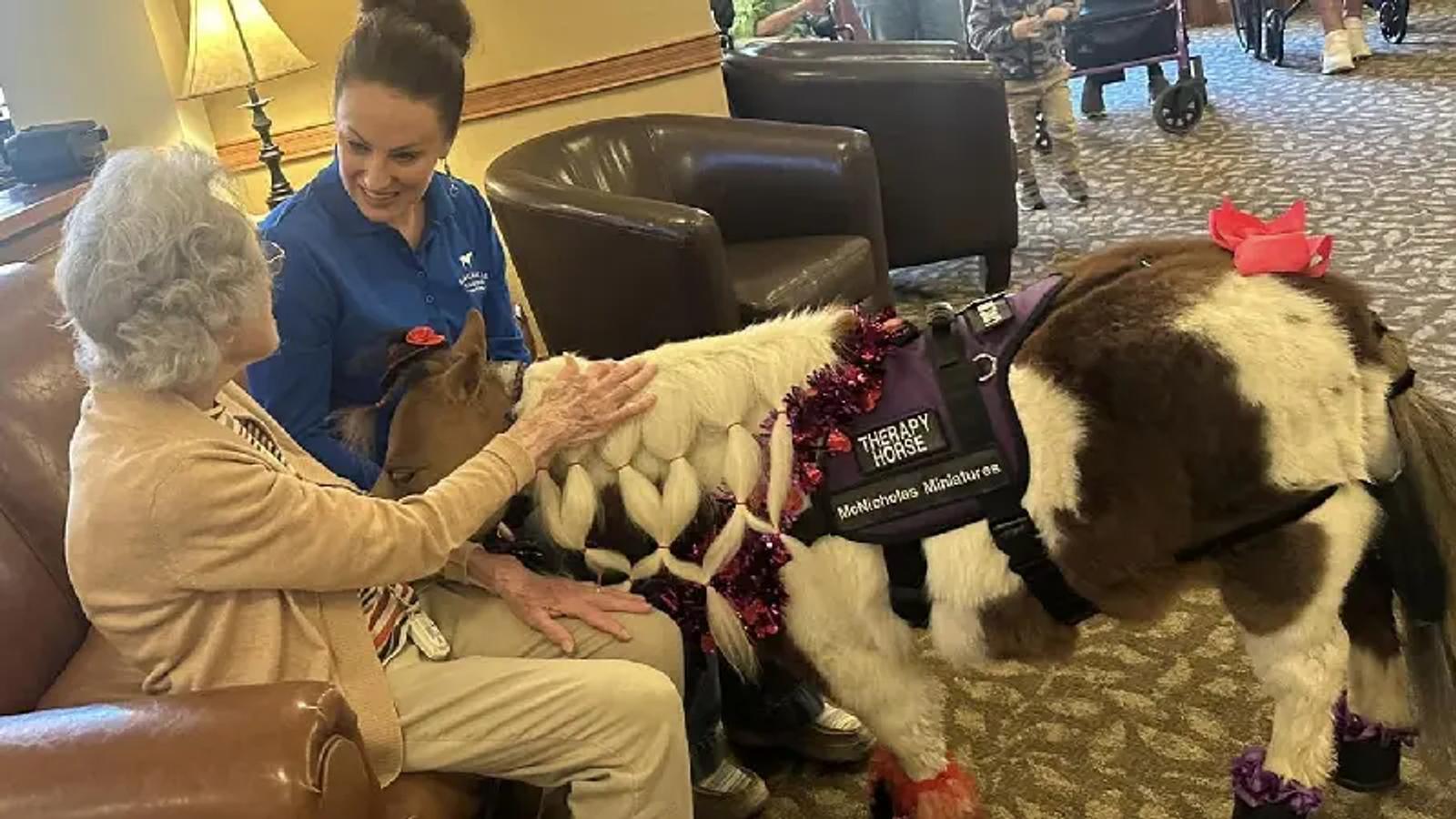 Arvada Memory Care Daily Living
