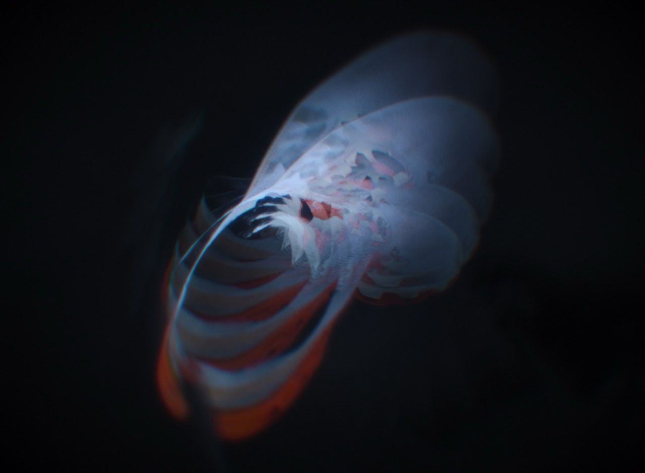A running shoe floats in a black void in blurred motion.
