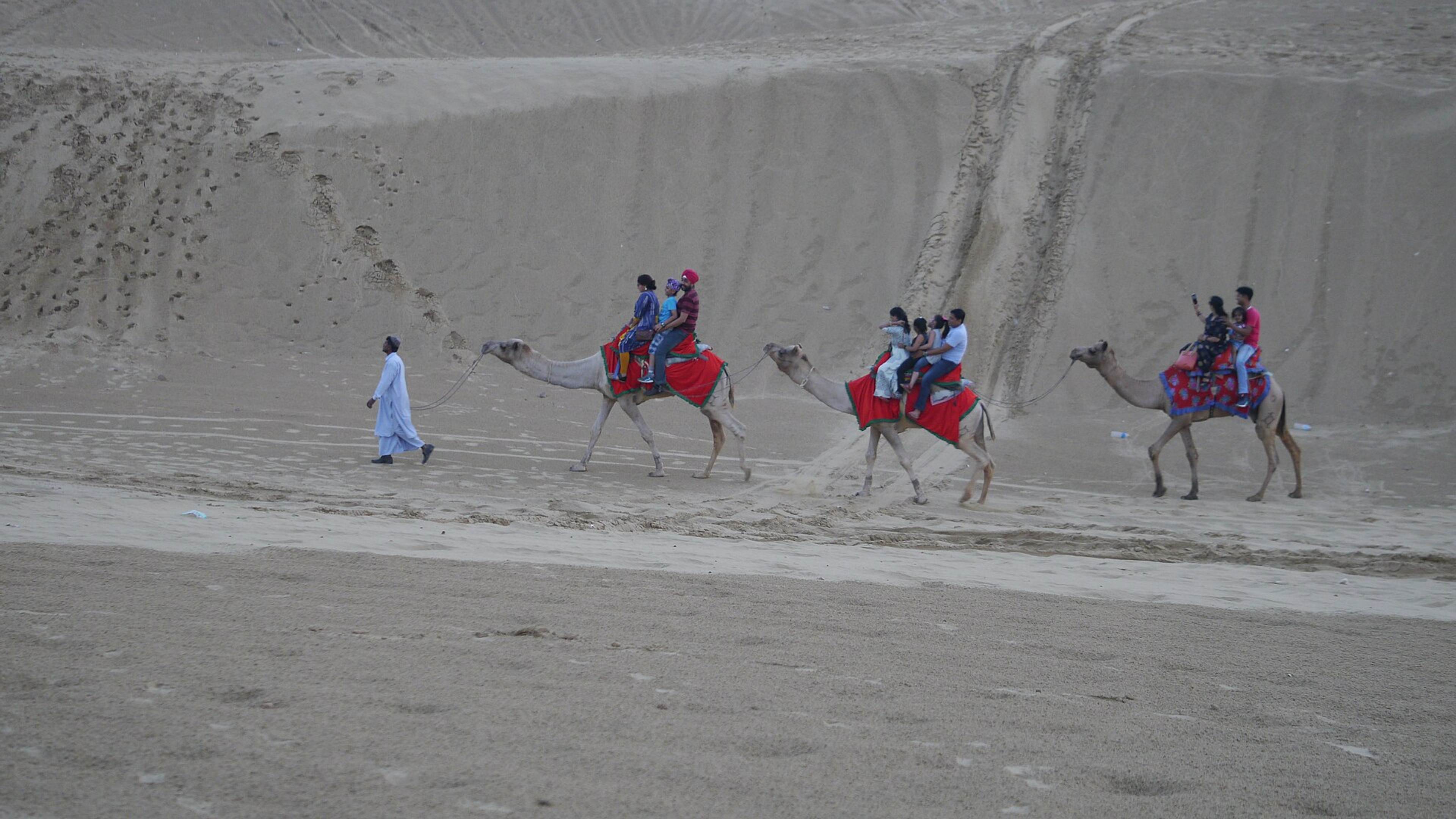 Camel rides on the Sam sand dunes near Jaisalmer