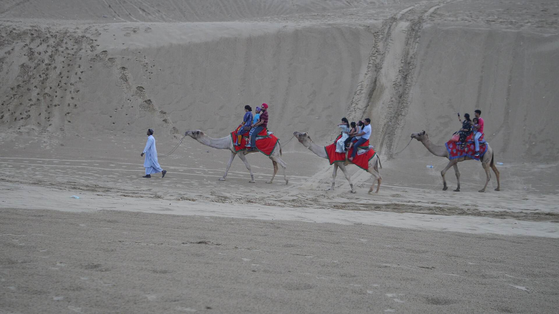 Camel rides on the Sam sand dunes near Jaisalmer