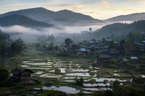 A cinematic panoramic view of Ziro Valley’s rice fields and traditional Apatani villages under a soft morning mist."