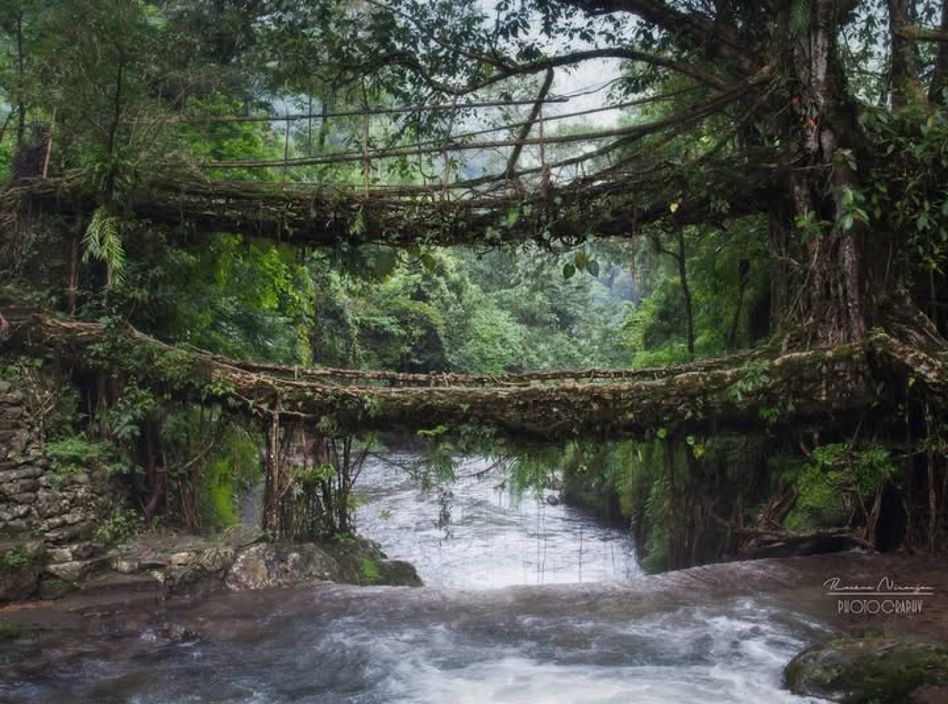 The spectacular two-tiered Double-Decker Living Root Bridge spanning a pristine jungle river in Nongriat, Meghalaya.
