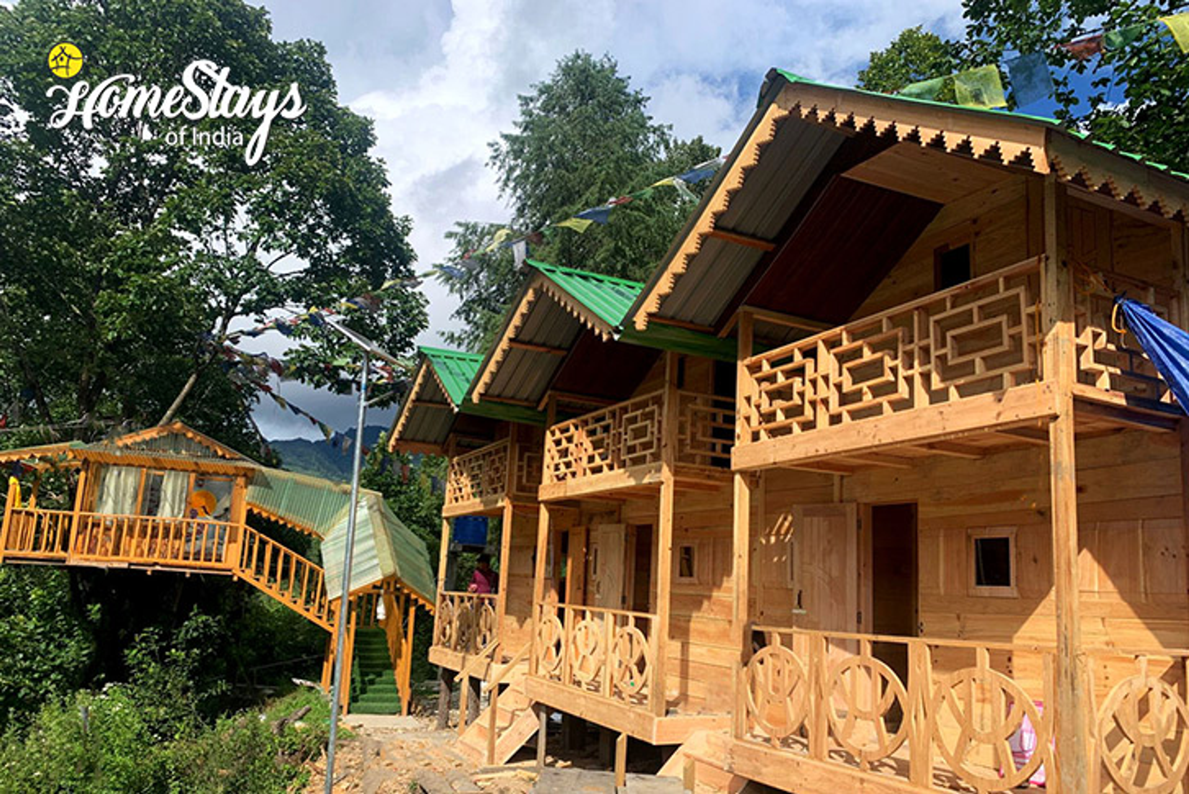 A traveler using 5G internet in a cozy wooden homestay in Arunachal Pradesh.