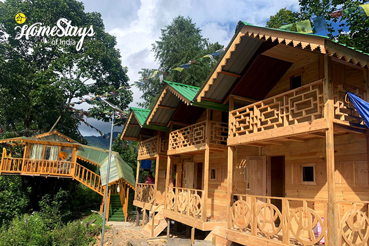 A traveler using 5G internet in a cozy wooden homestay in Arunachal Pradesh.
