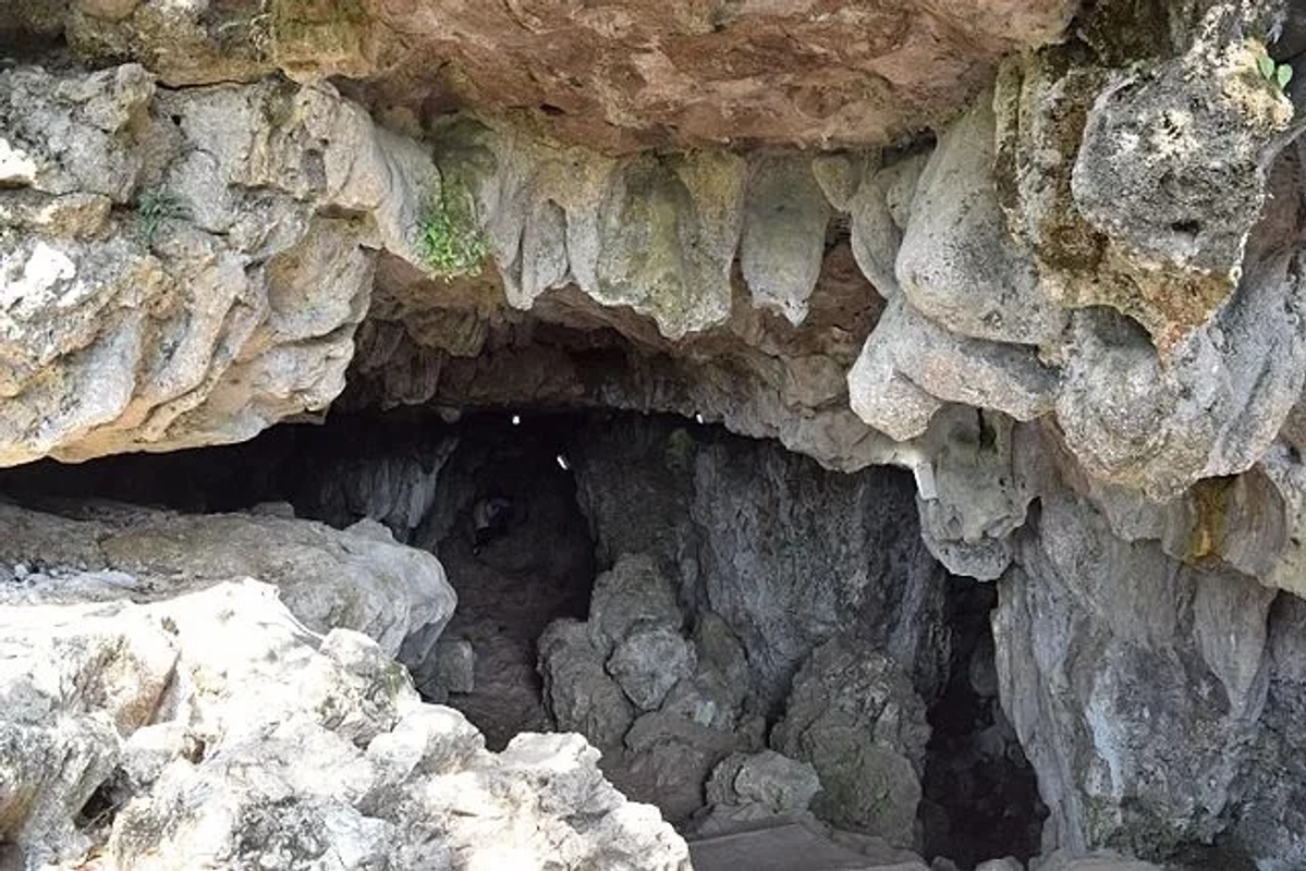 Interior of Arwah Cave in Cherrapunji showing limestone formations and glistening wet fossil walls."