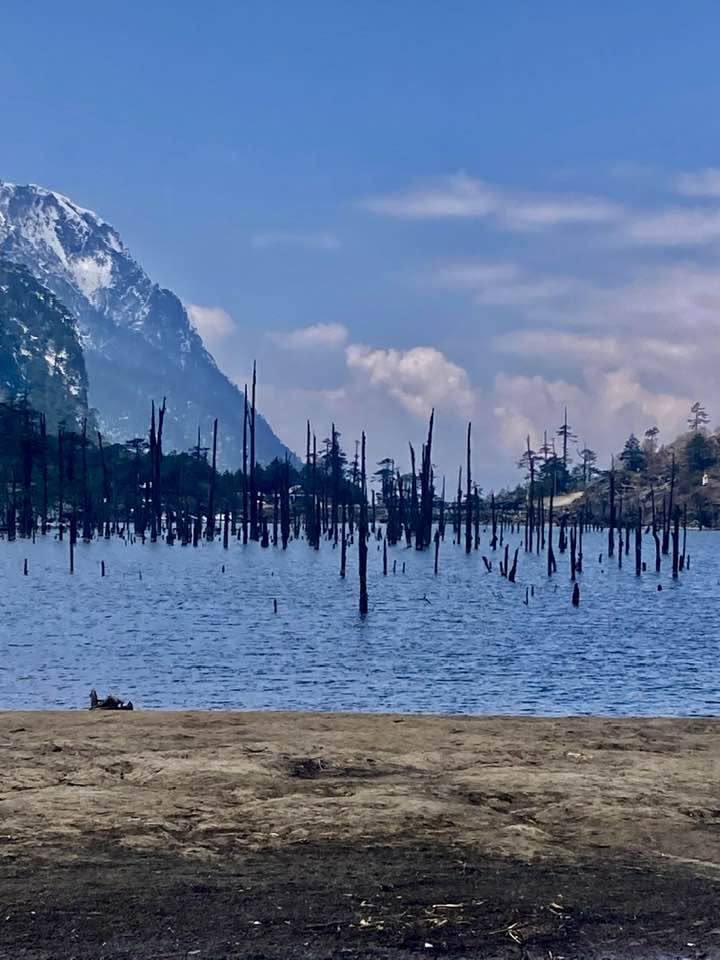 A beautiful high altitude alpine lake with dead tree trunks standing in the clear water surrounded by tall mountains in Tawang.