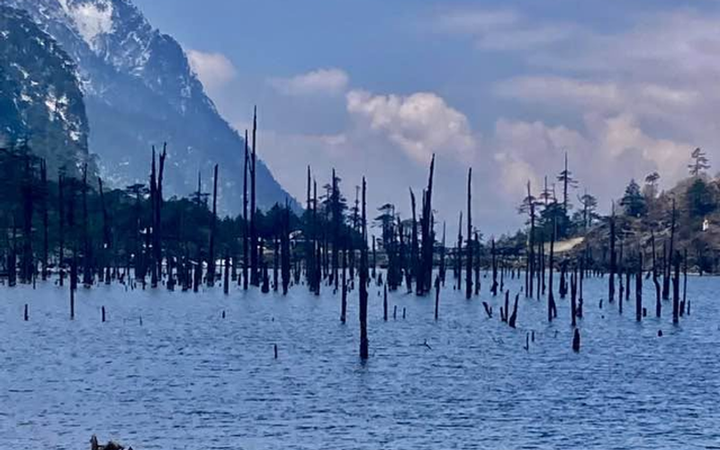 A beautiful high altitude alpine lake with dead tree trunks standing in the clear water surrounded by tall mountains in Tawang.