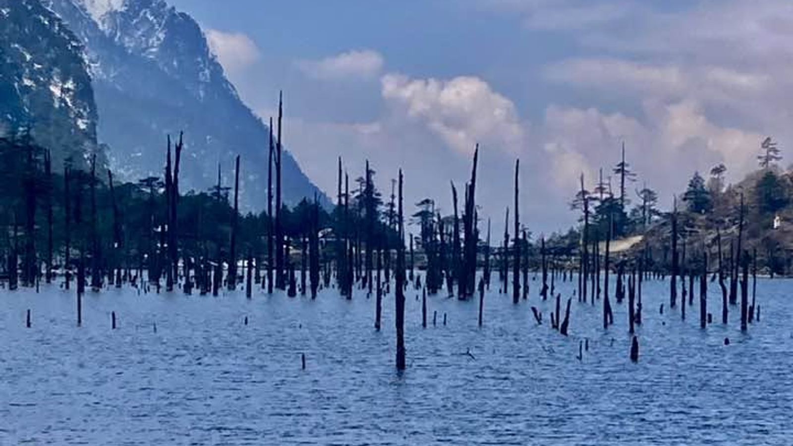 A beautiful high altitude alpine lake with dead tree trunks standing in the clear water surrounded by tall mountains in Tawang.