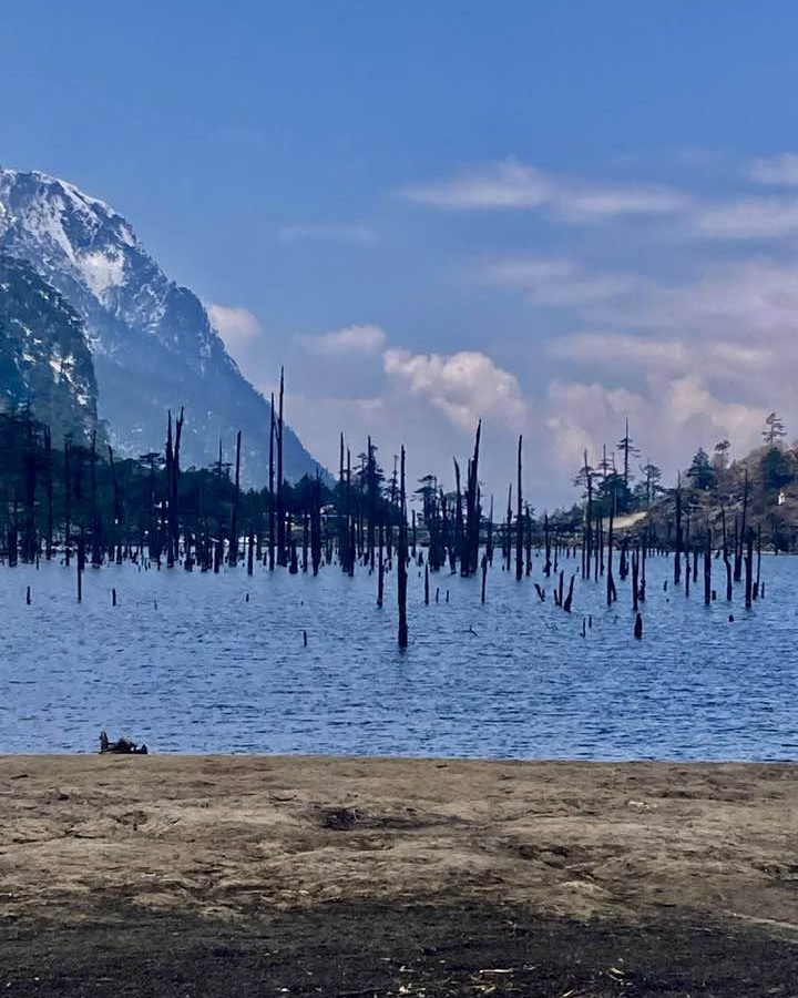A beautiful high altitude alpine lake with dead tree trunks standing in the clear water surrounded by tall mountains in Tawang.
