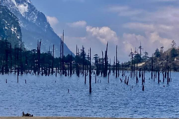 A beautiful high altitude alpine lake with dead tree trunks standing in the clear water surrounded by tall mountains in Tawang.