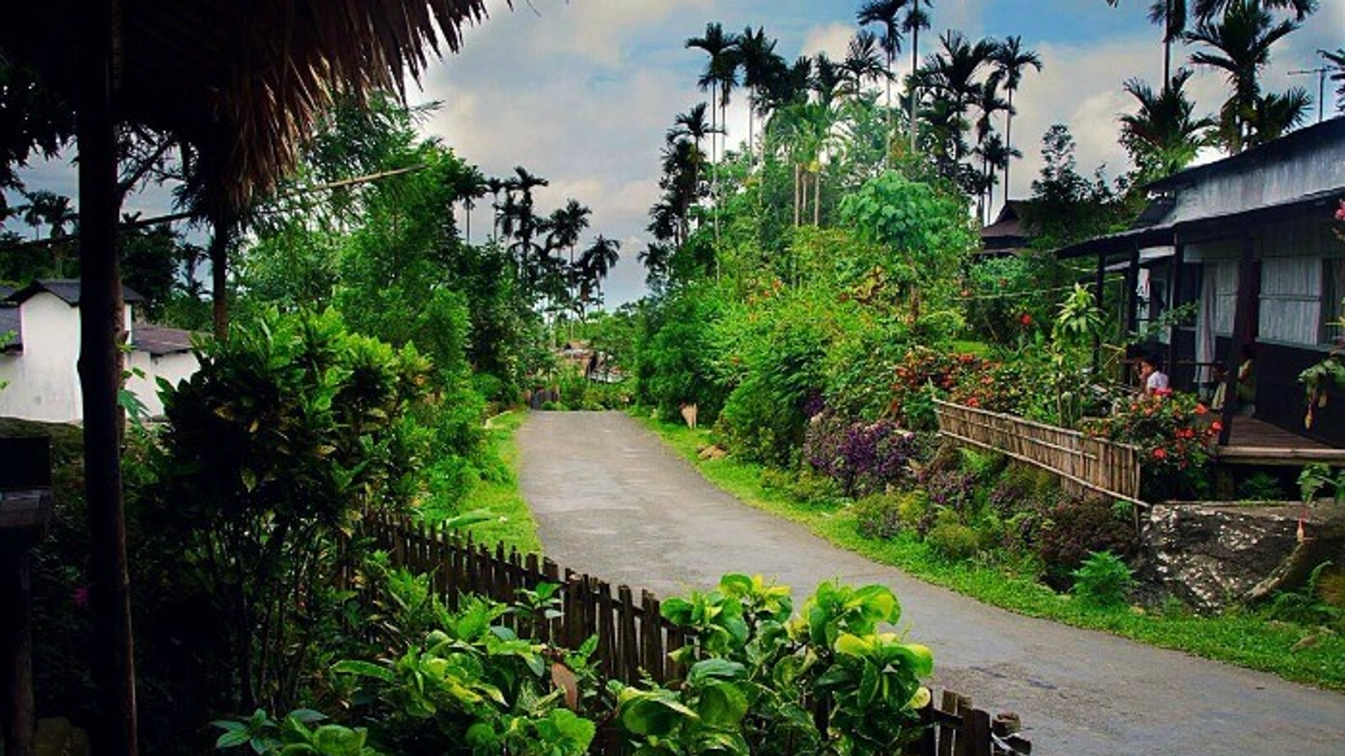 Clean bamboo pathways and traditional Khasi houses in Mawlynnong, Asia's cleanest village in Meghalaya known for its spotless streets and eco-friendly community.