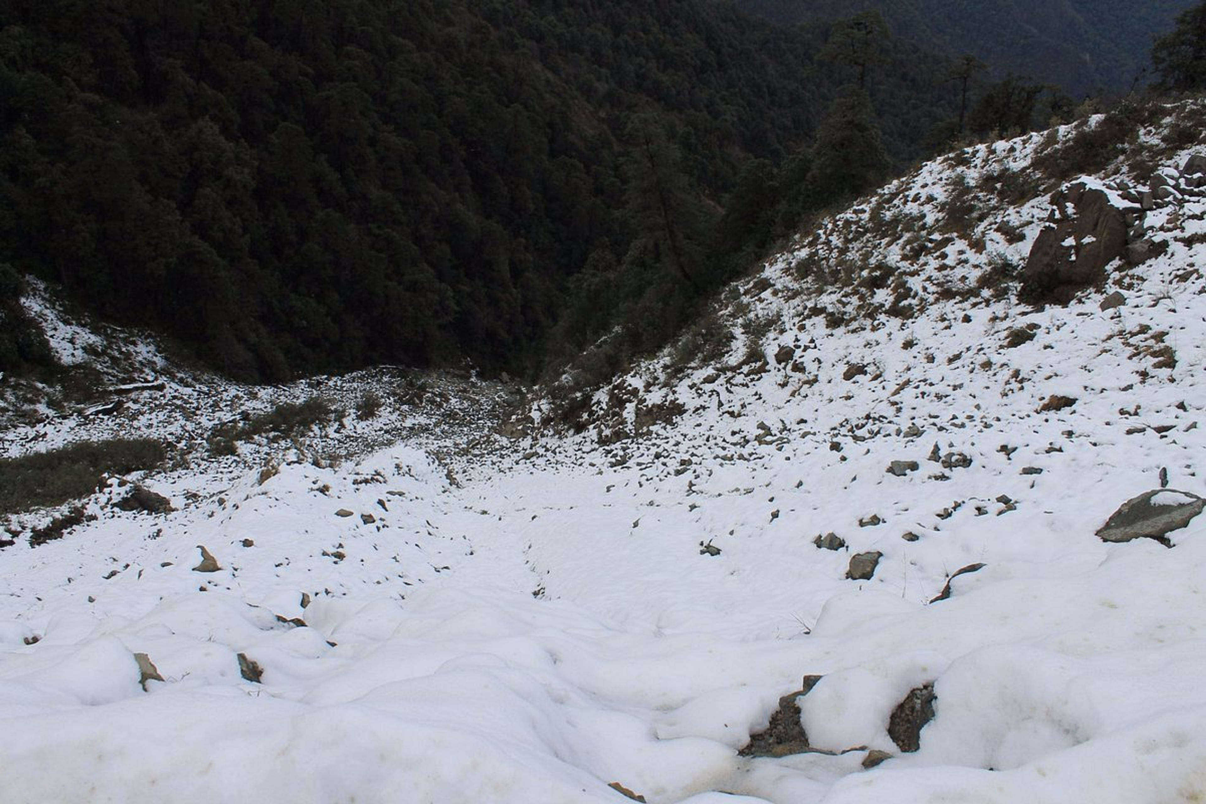 Snow-covered mountain road at Mayodia Pass near Roing, Arunachal Pradesh, during peak winter.