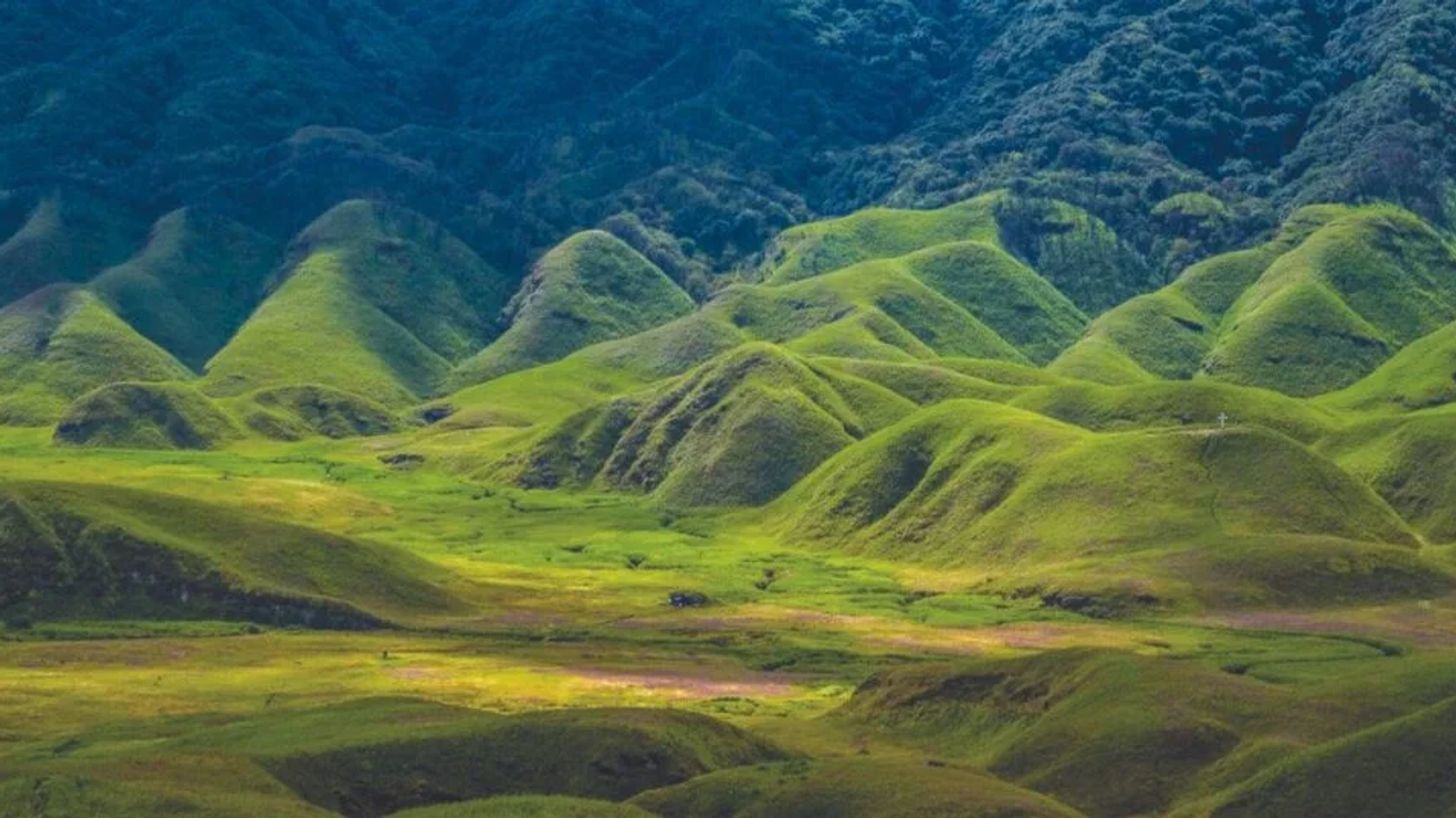 Panoramic green valleys and hills of Wokha district in Nagaland with traditional Lotha Naga villages.