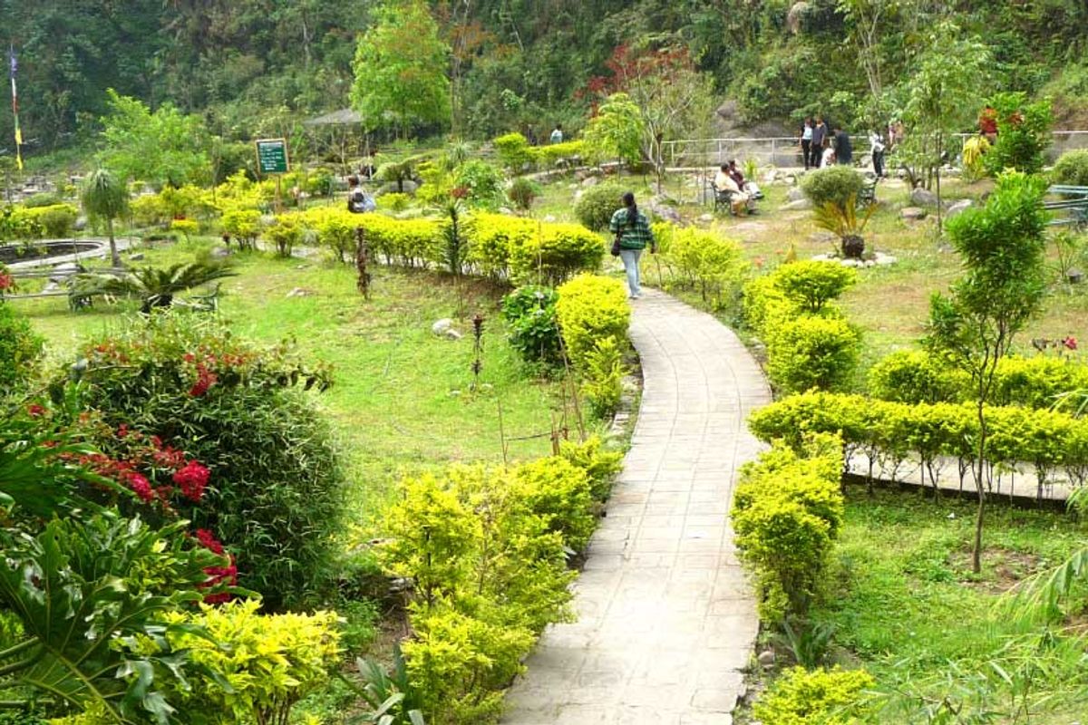 Colorful rare orchids and native Himalayan flowers blooming along the stone paths of the Namchi Rock Garden.