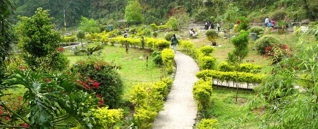Colorful rare orchids and native Himalayan flowers blooming along the stone paths of the Namchi Rock Garden.