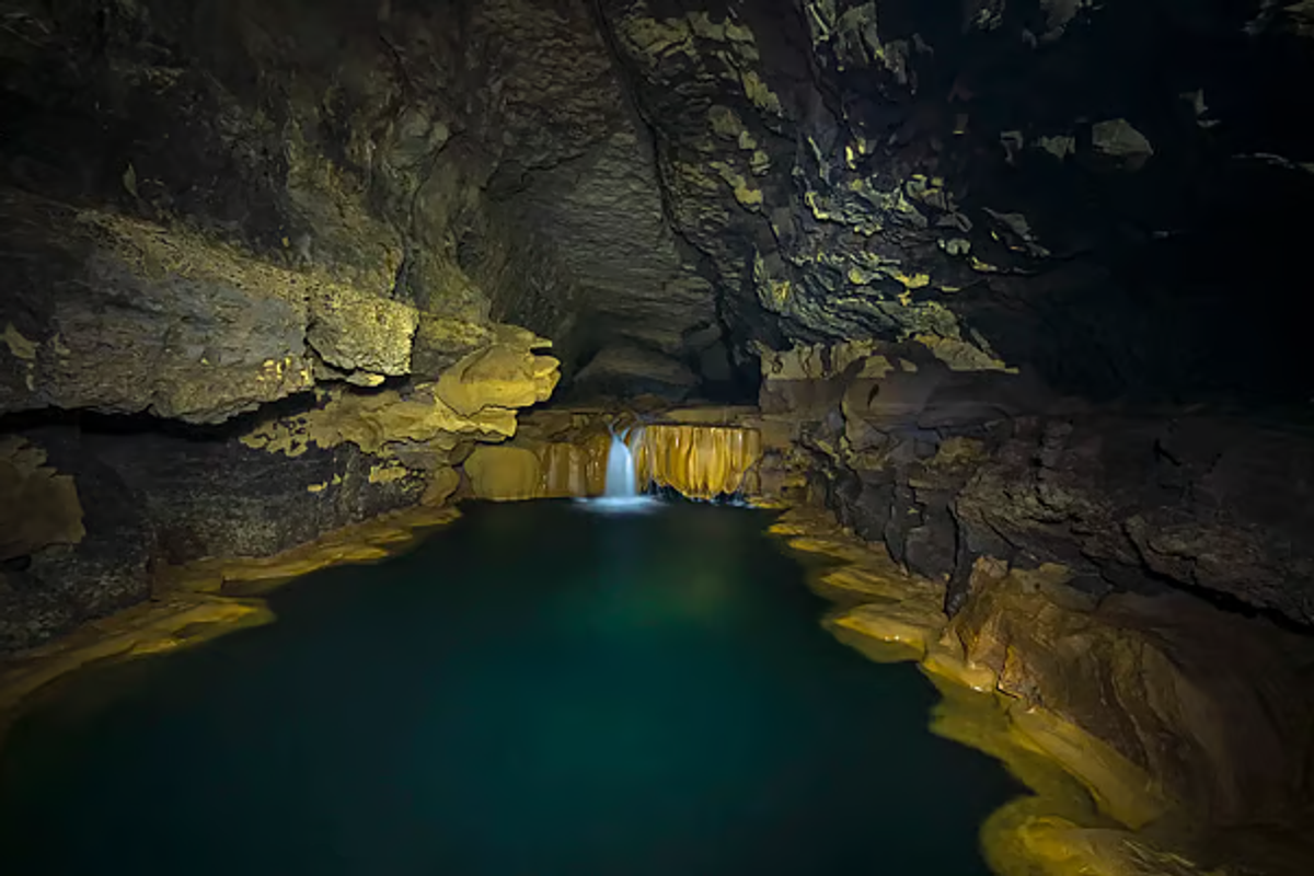 The "Golden Orchid" chamber: a dry passage where mineral deposits have created shimmering, gold-hued rock sculptures over millennia.