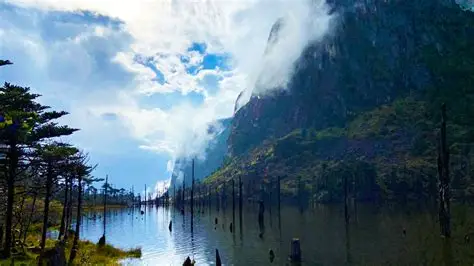 Submerged tree trunks in the crystal-clear waters of Madhuri Lake (Sangetsar Tso) in Tawang.