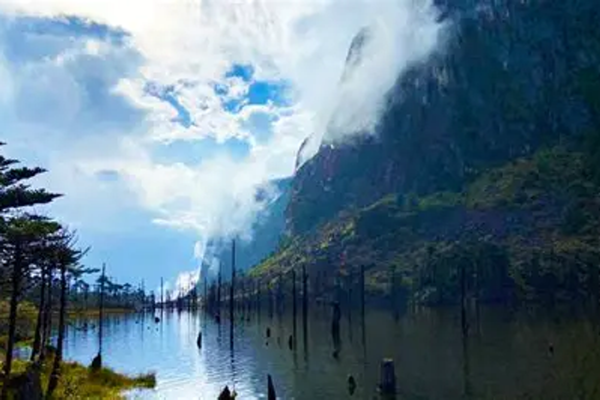 Submerged tree trunks in the crystal-clear waters of Madhuri Lake (Sangetsar Tso) in Tawang.