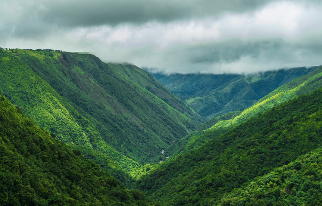 Looking deep into the vast chasm of the Mawkdok Dympep Valley from the roadside viewpoint.. Source: Meghalaya Tourism