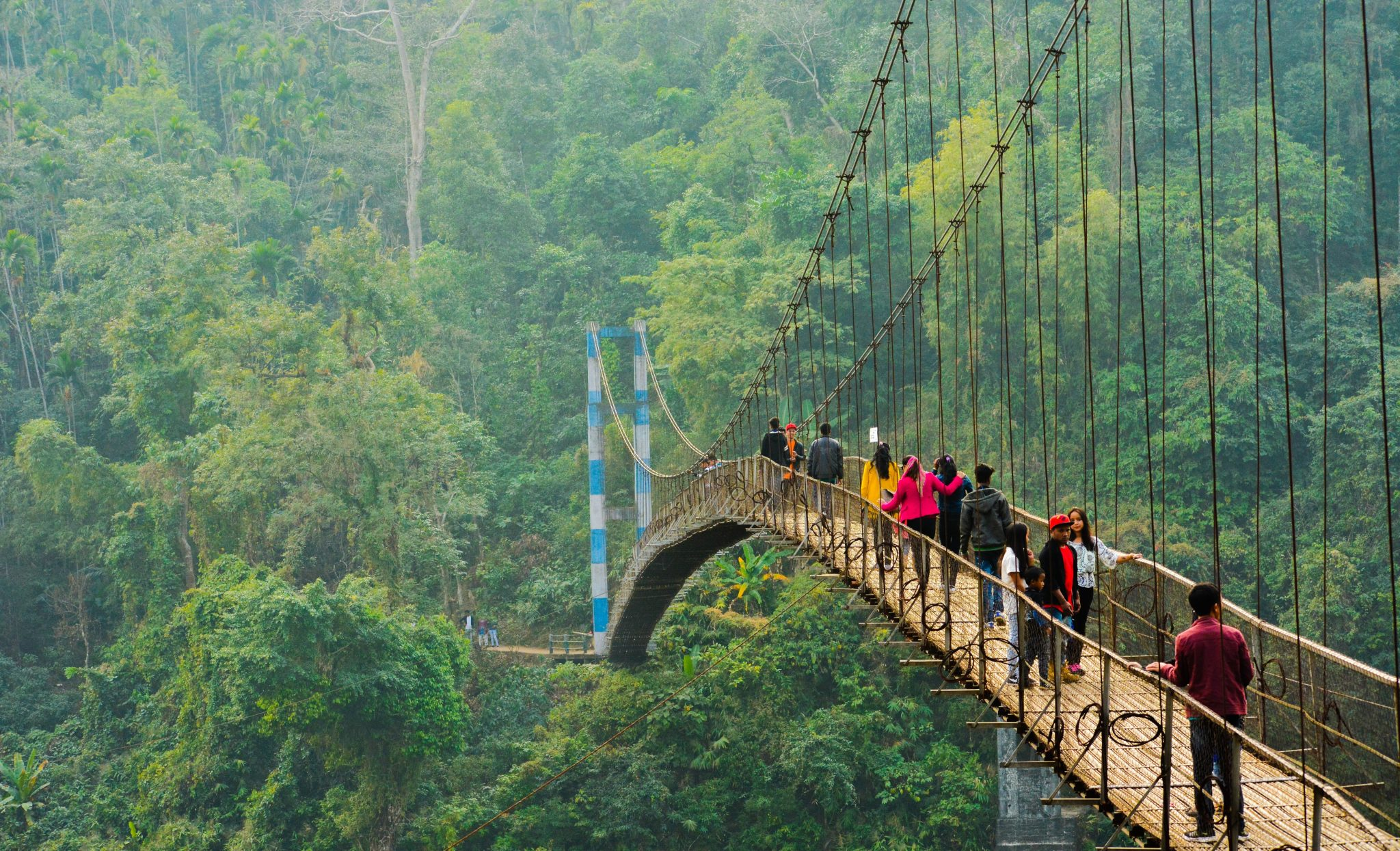 Tourists walking across a narrow living root bridge with lush green surrounding foliage in Meghalaya.