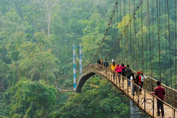 Tourists walking across a narrow living root bridge with lush green surrounding foliage in Meghalaya.