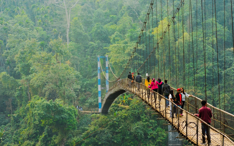 Tourists walking across a narrow living root bridge with lush green surrounding foliage in Meghalaya.