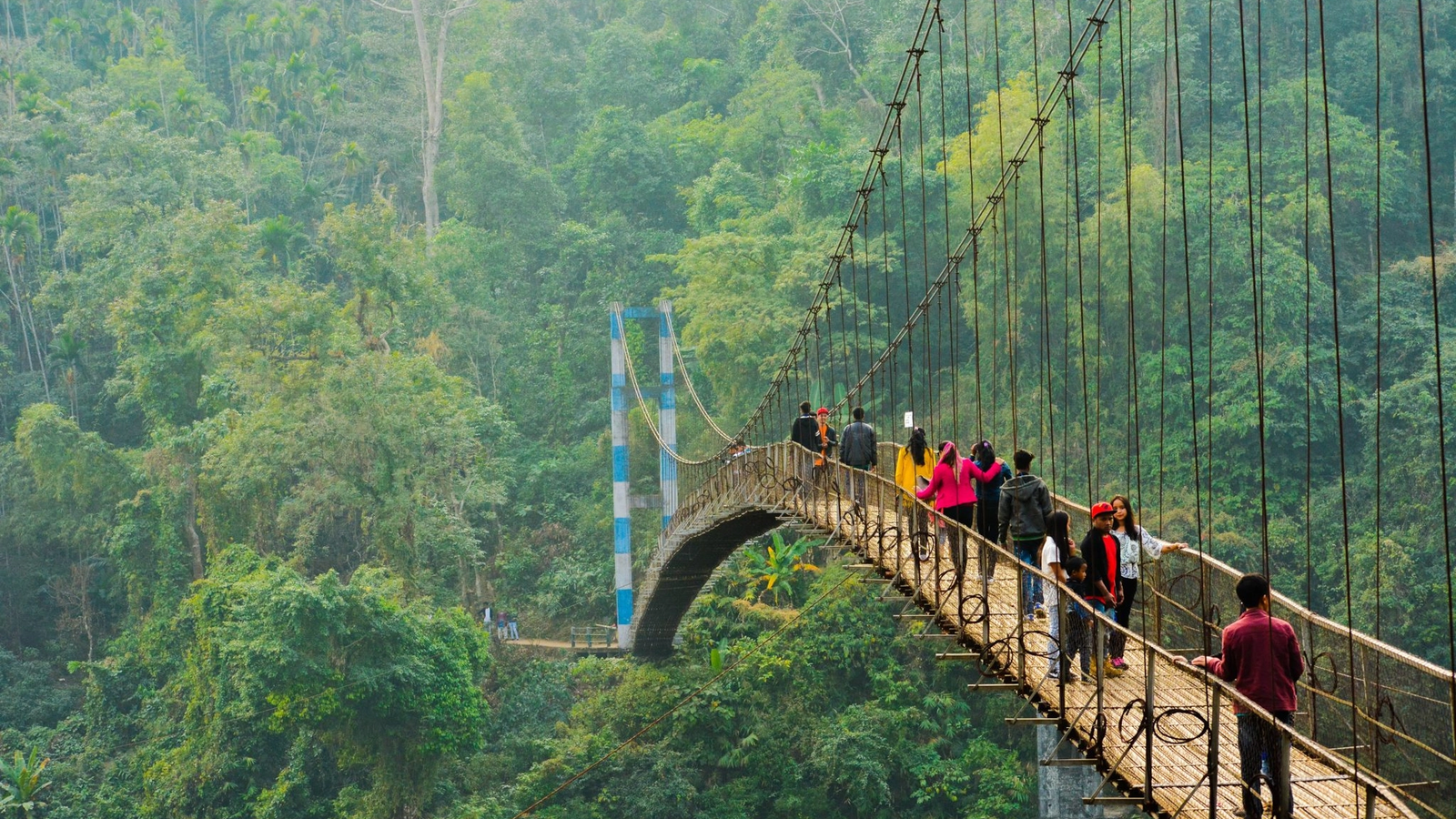 Tourists walking across a narrow living root bridge with lush green surrounding foliage in Meghalaya.