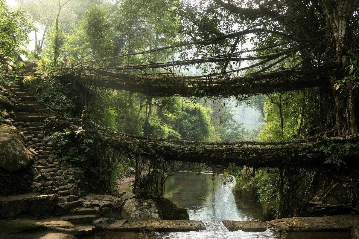 Meghalaya Uncovered: Caves, Waterfalls & Crystal Rivers – 7D6N Journey