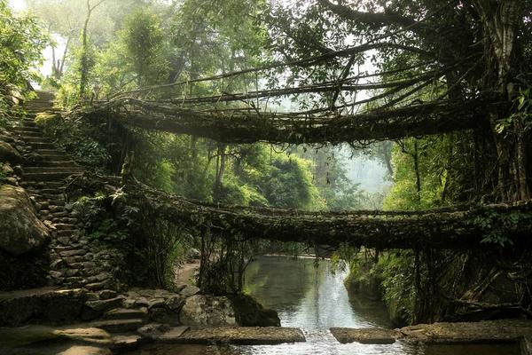 Meghalaya Uncovered: Caves, Waterfalls & Crystal Rivers – 7D6N Journey