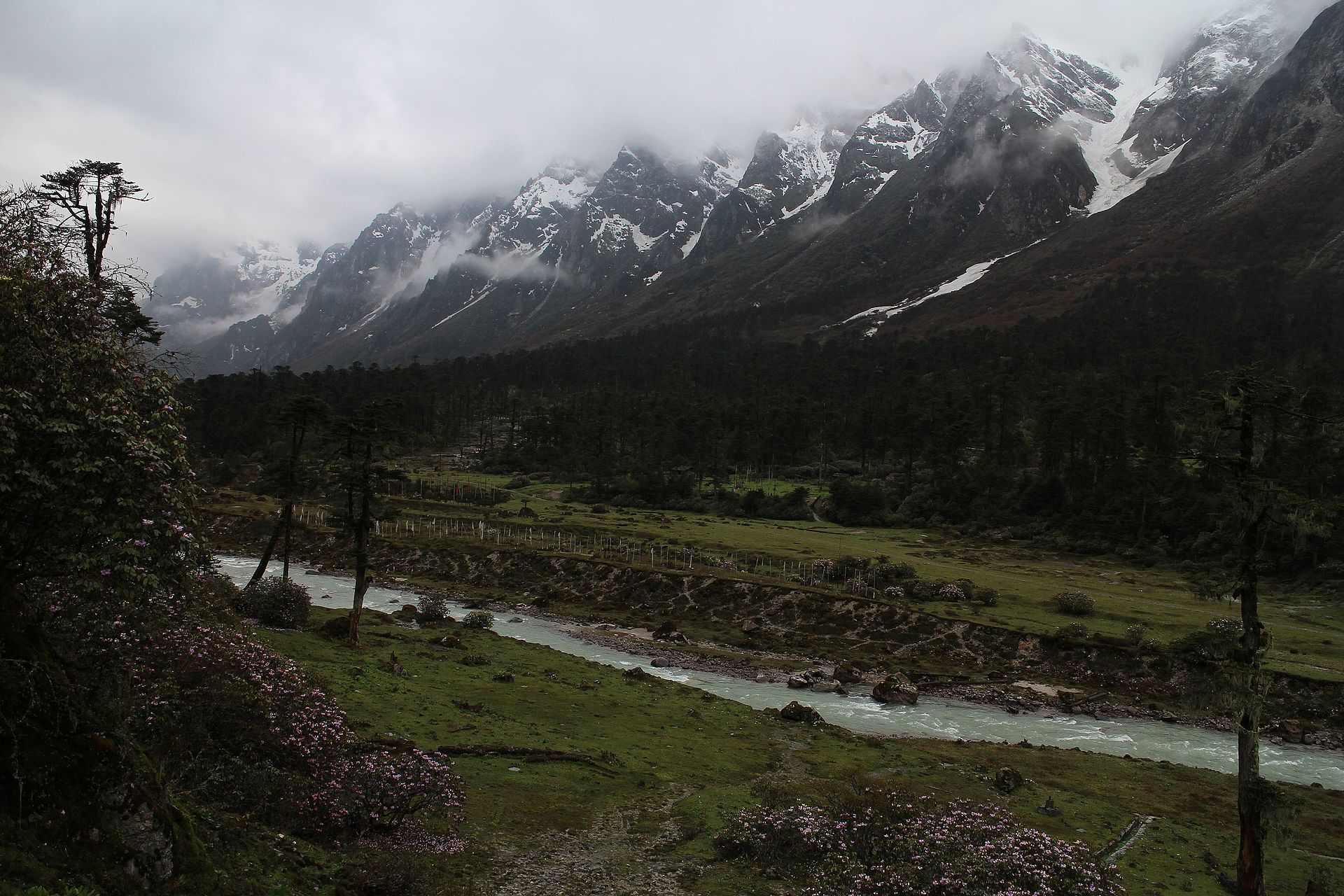 Yumthang Valley in North Sikkim with snow-capped mountains