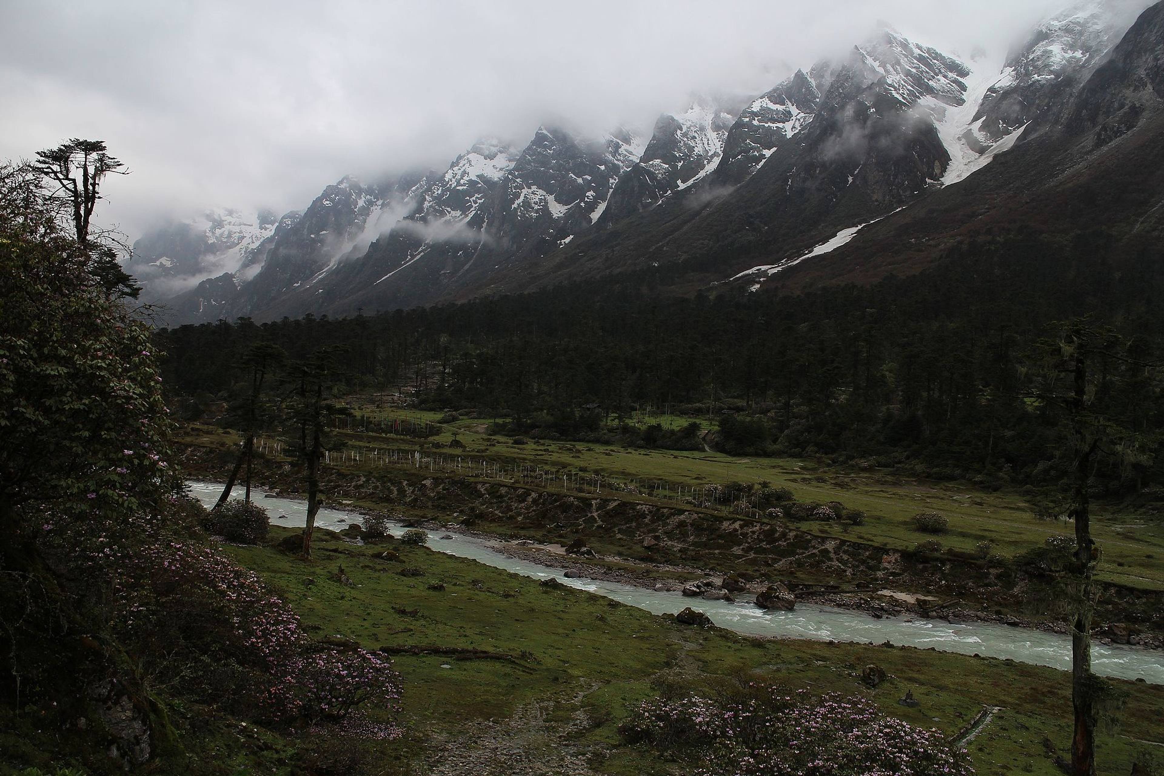 The Lachung river winding through Yumthang Valley below snow peaks