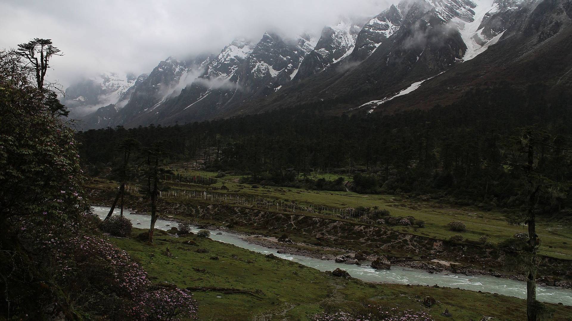 Yumthang Valley in North Sikkim with snow-capped mountains