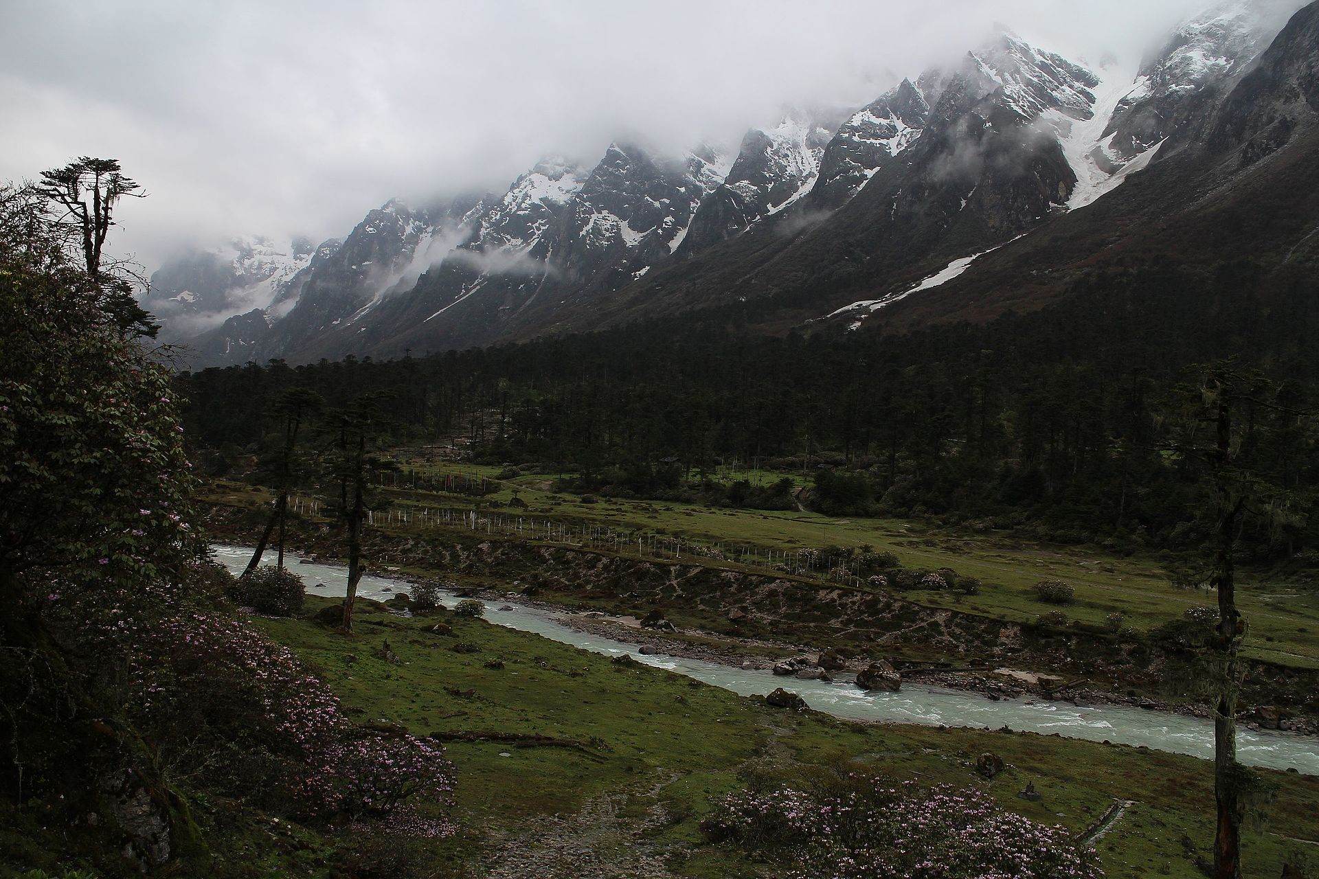 The Lachung river winding through Yumthang Valley below snow peaks