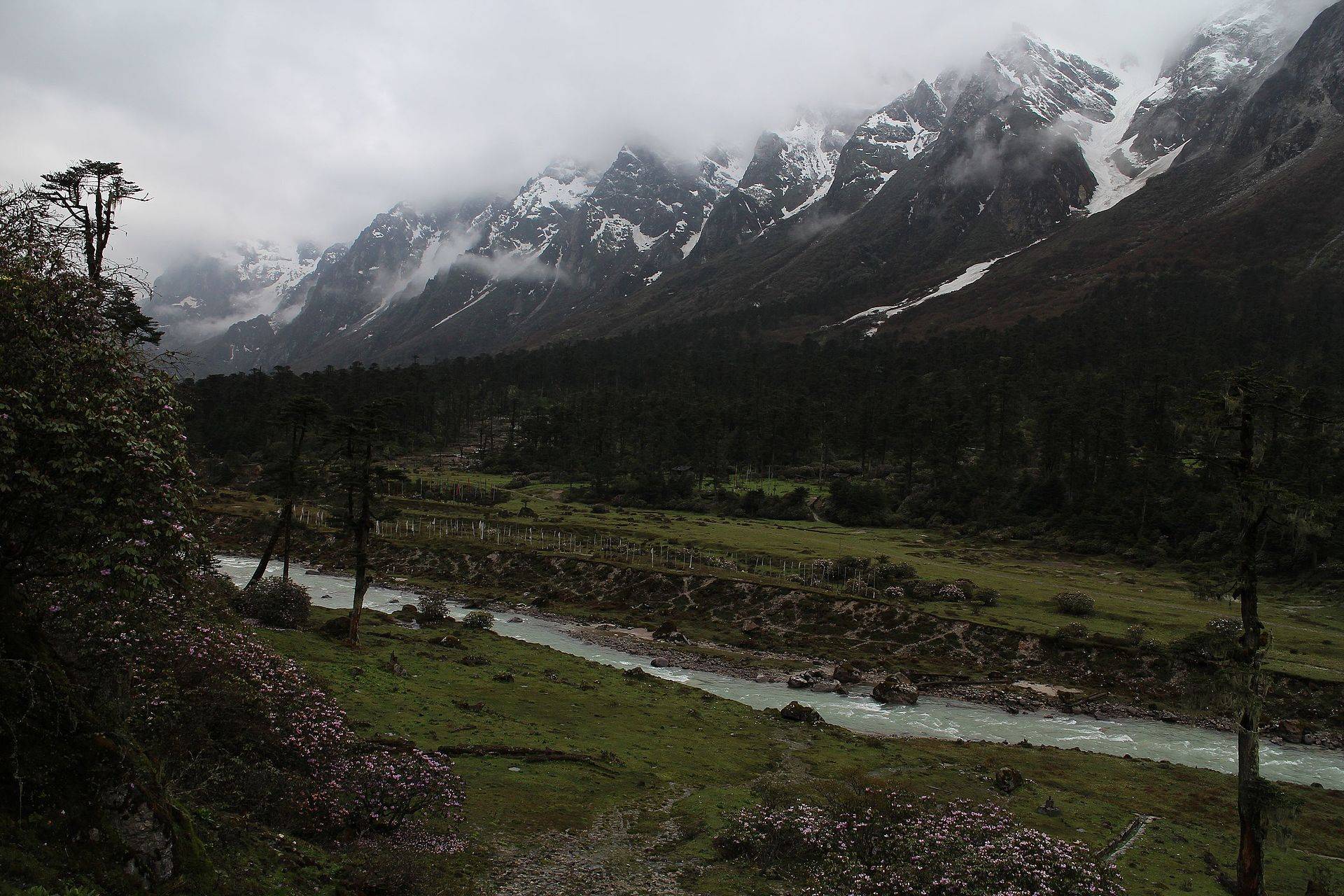 River and snow peaks in Yumthang Valley above Lachung, North Sikkim
