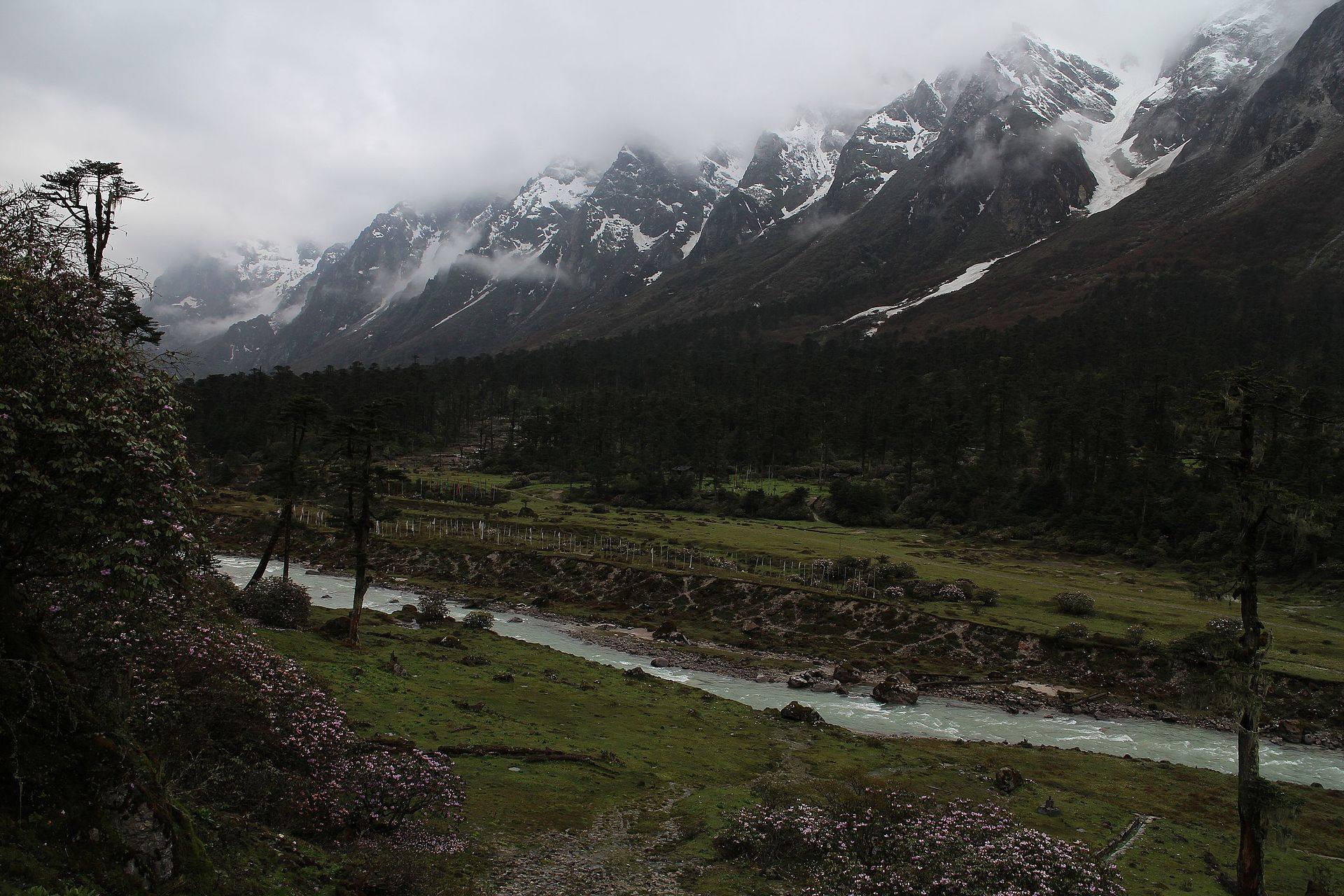 The Lachung river winding through Yumthang Valley below snow peaks