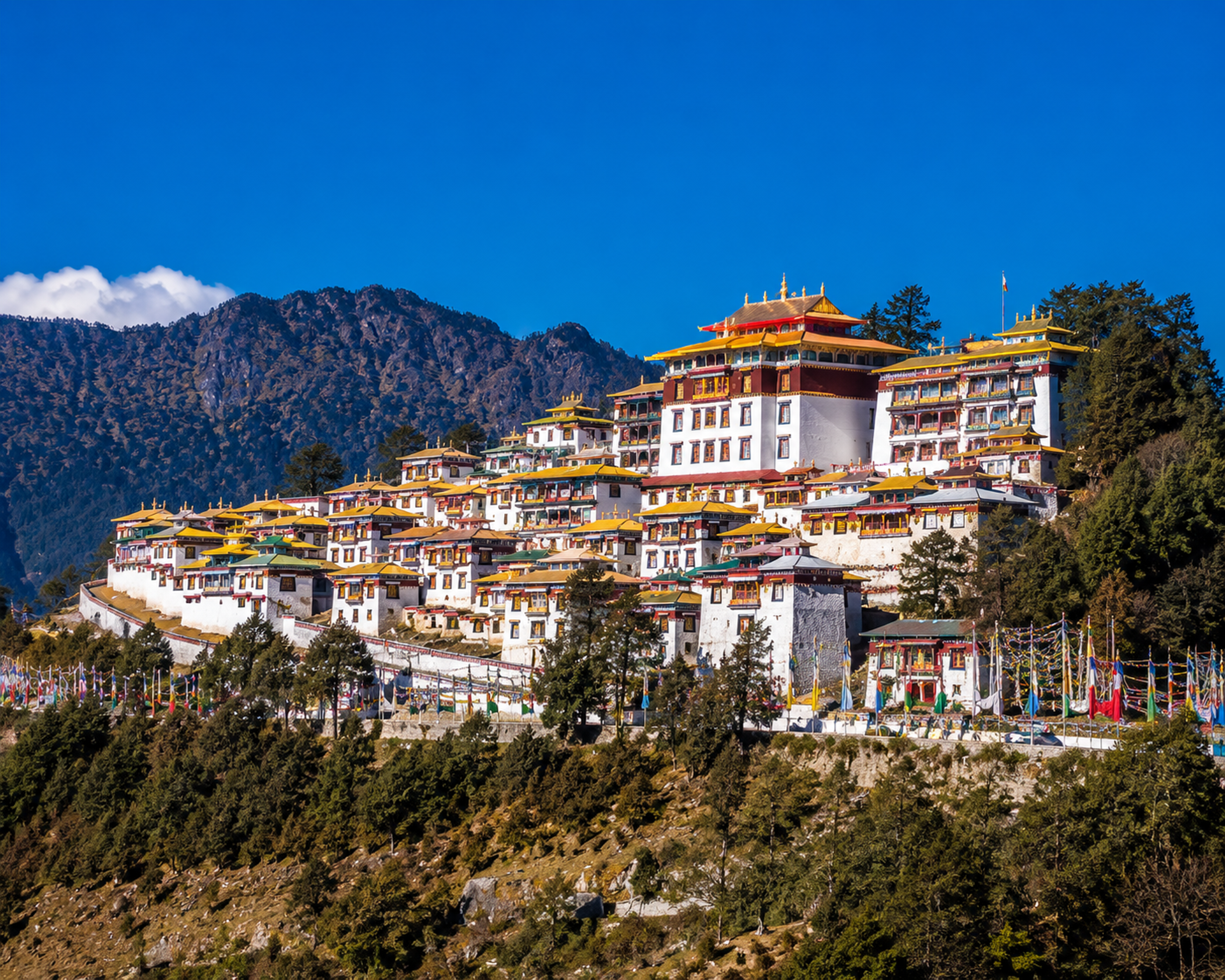 The grand and colorful buildings of the ancient Tawang Monastery sitting on a high mountain ridge under a clear sky.