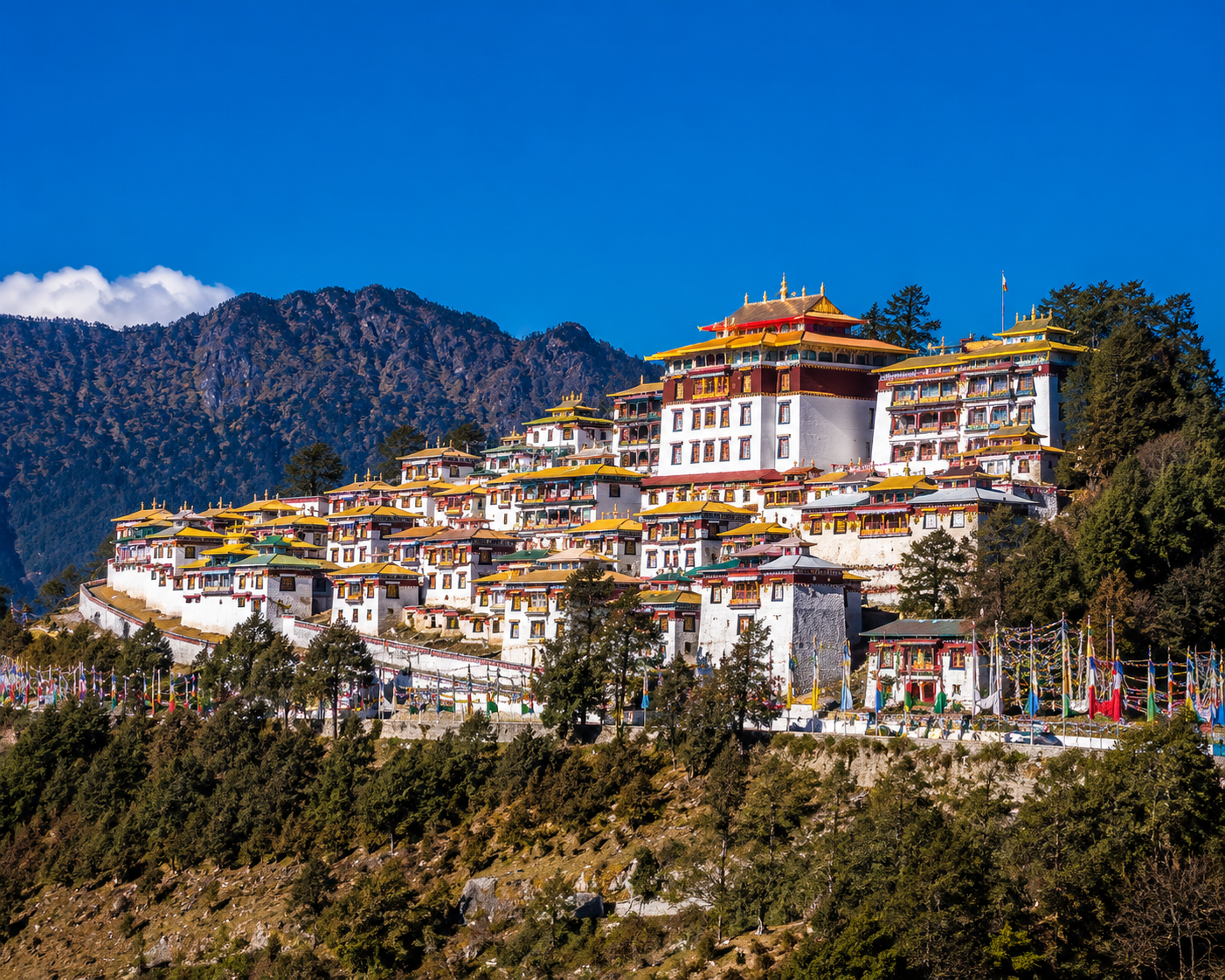 The grand and colorful buildings of the ancient Tawang Monastery sitting on a high mountain ridge under a clear sky.