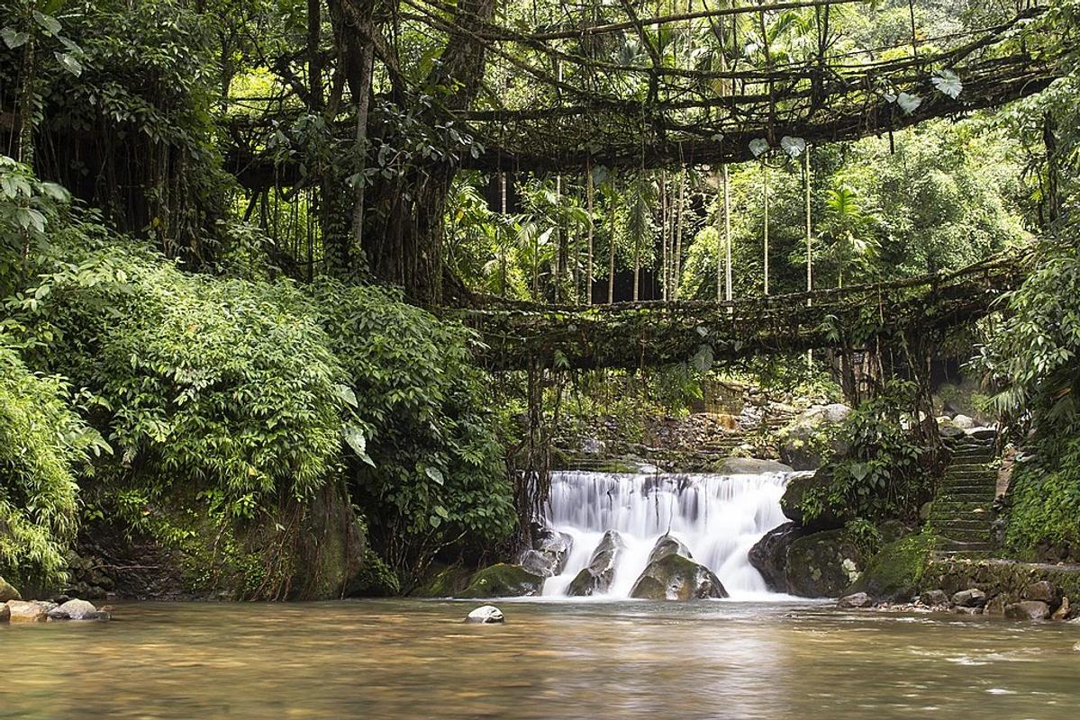 A photo of a traveler crossing the Double Decker Living Root Bridge in Nongriat.