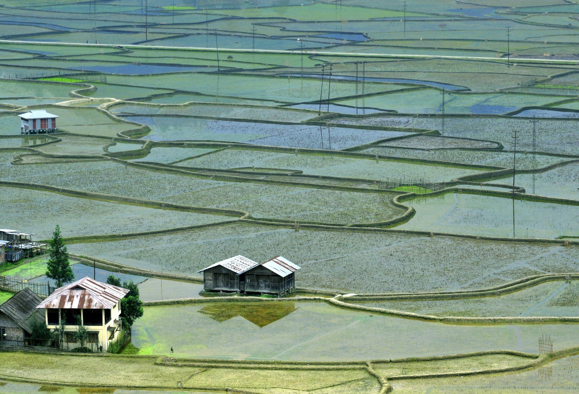 Apatani rice paddies and stilt houses in Ziro Valley, Arunachal Pradesh