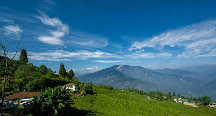 A panoramic view of the rolling green tea gardens in Pelling, West Sikkim, showcasing a scenic valley with Mount Kanchenjunga hidden in the distant mist under a clear blue sky during the best time to visit Sikkim in spring